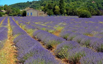 Provence Occitane : A la découverte des plus beaux villages de France Gardois