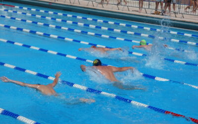SOBM: Plus de 200 nageurs présents pour le challenge Guy Coutel