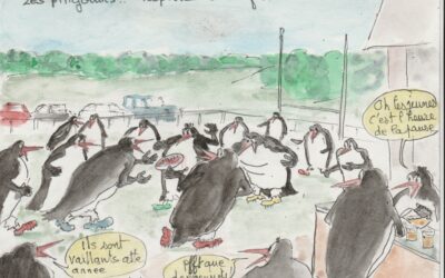Vénéjan: des pingouins (pas des manchots) qui courent et jouent avec une drôle de balle ovale sur la pelouse du stade ? 