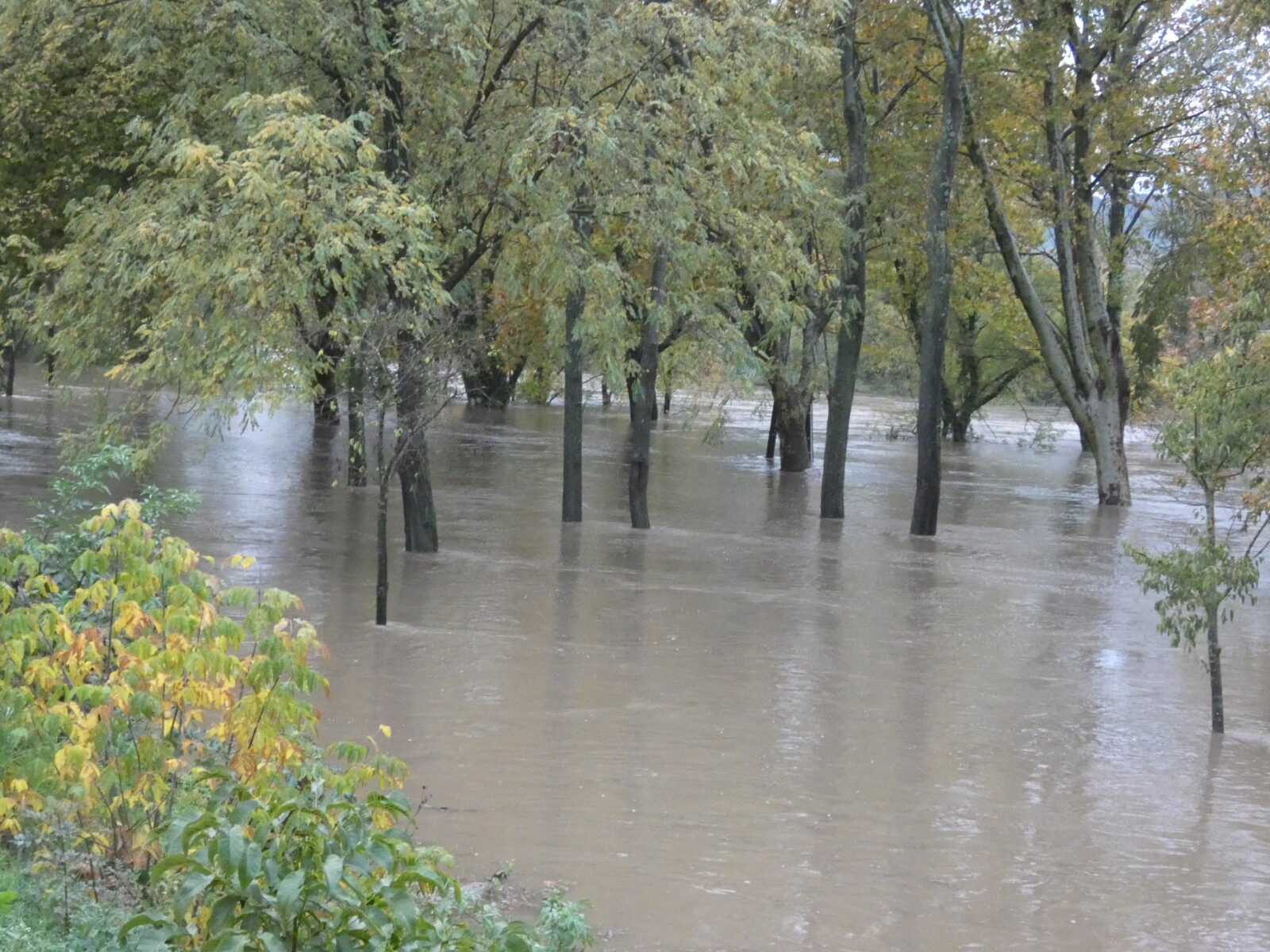 Bagnols Sur Cèze reconnue en état de catastrophe naturelle