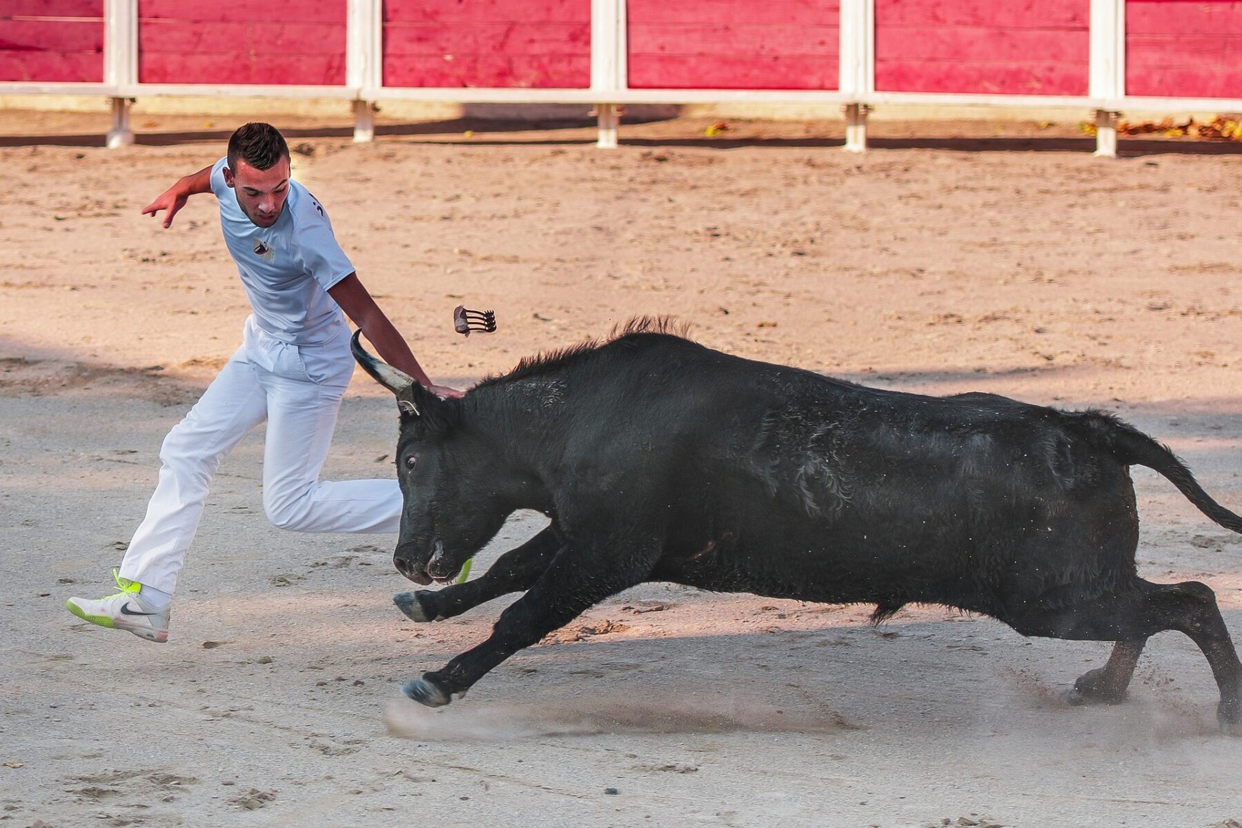 Après la corrida, le sénateur Laurent Burgoa monte au créneau en faveur de la course Camarguaise