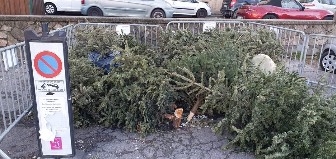 Recyclez vos sapins de Noël à Bagnols sur Cèze