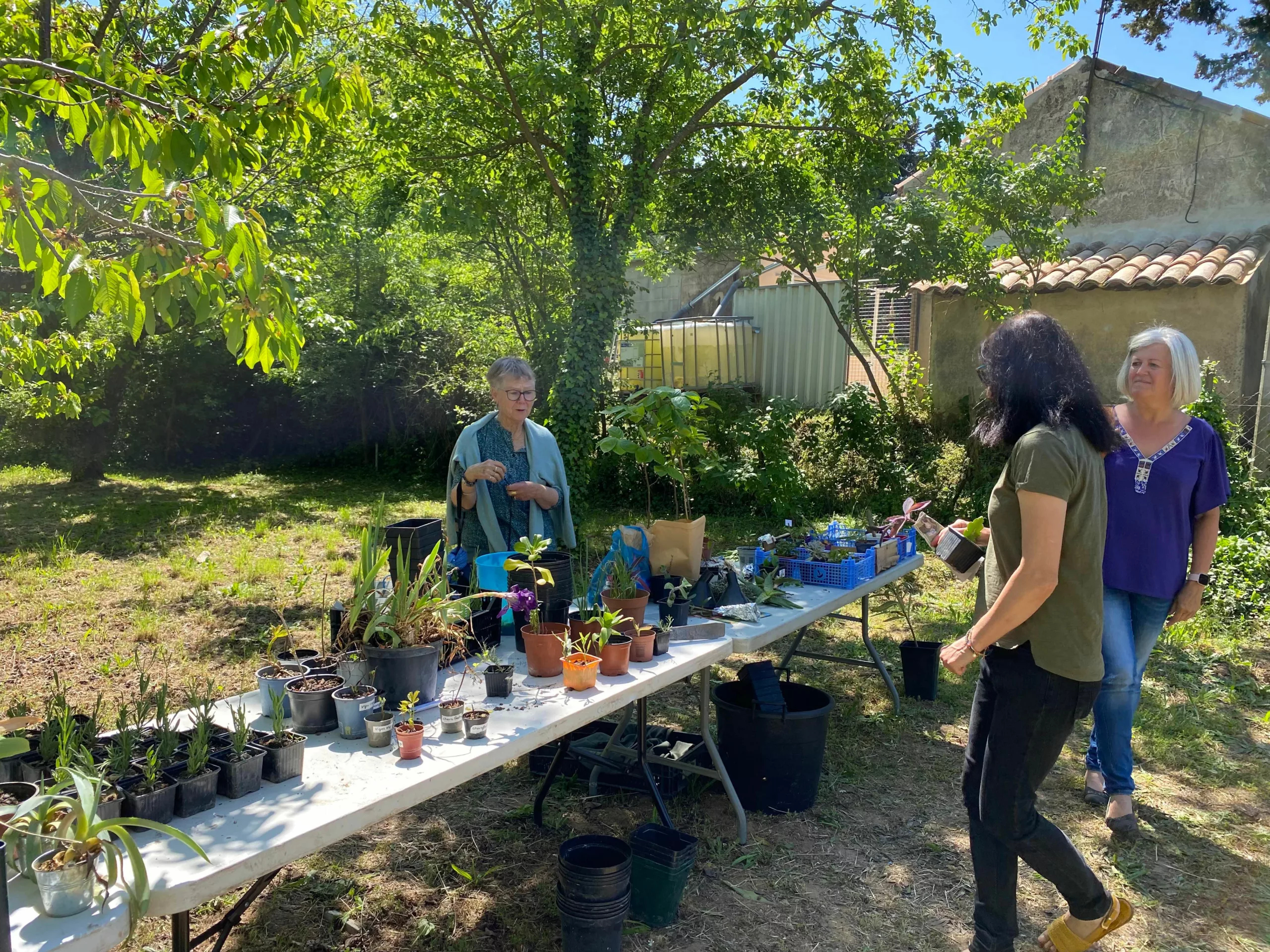 BAGNOLS/CEZE : Oyez producteurs, l’appel à candidature pour la fête des jardiniers amateurs est lancé !