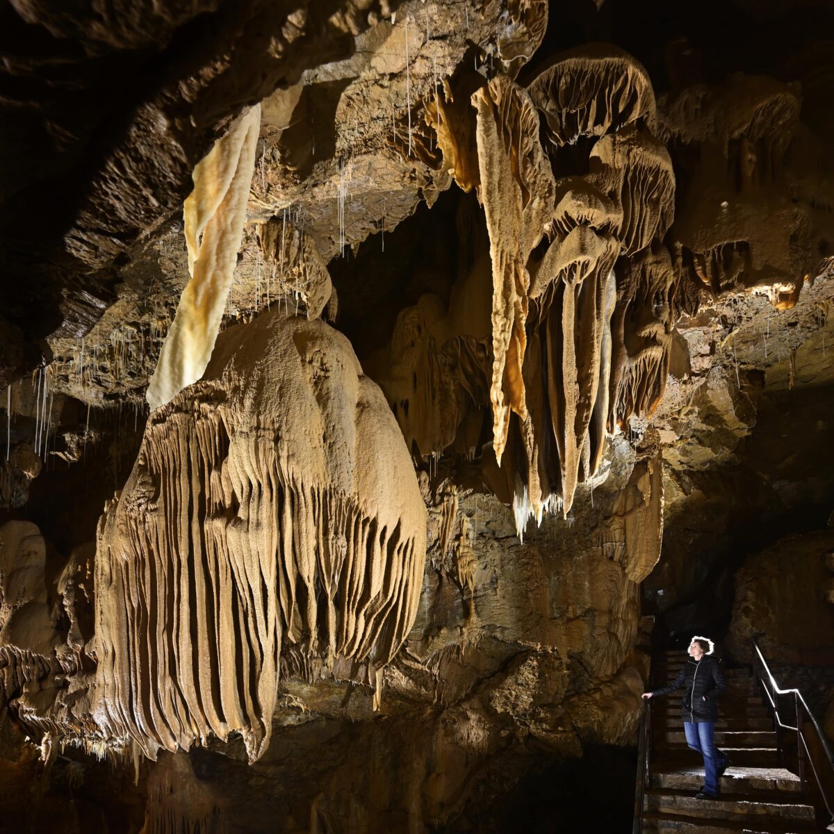 Une visite immersive de la grotte de la Cocalière pour les aînés spiripontains