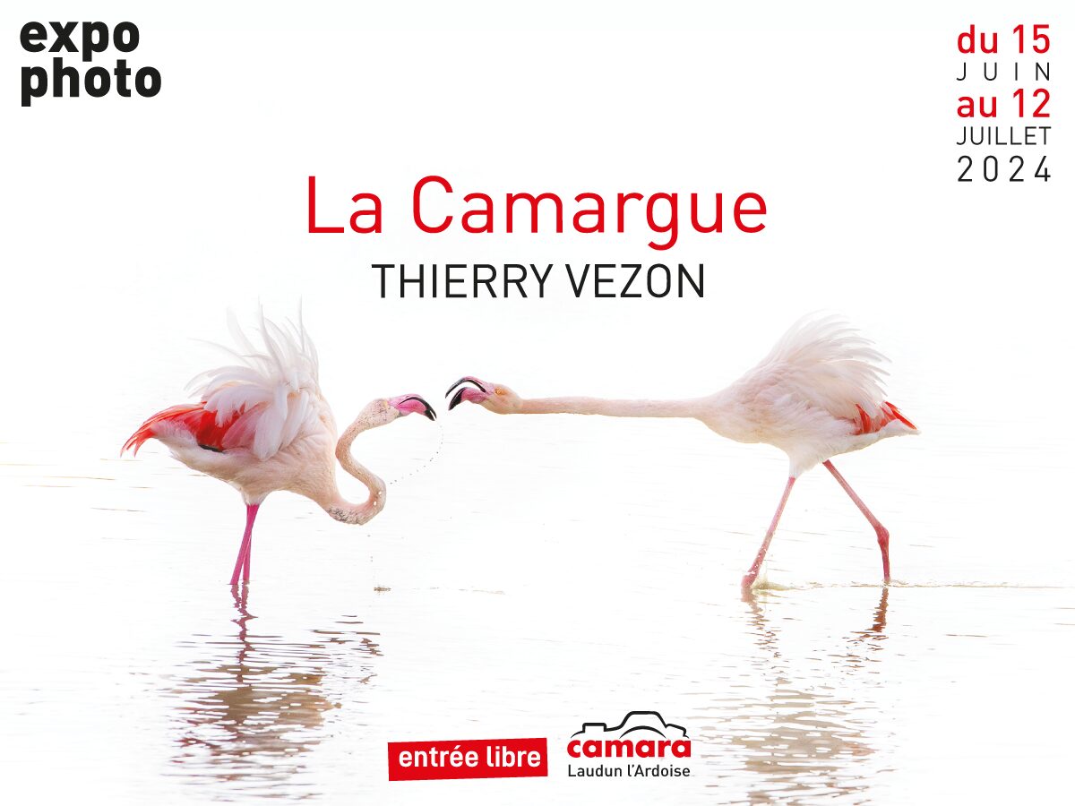 Camara organise du 15 juin au 12 juillet 2024 une exposition du photographe Thierry Vezon sur le thème de la Camargue