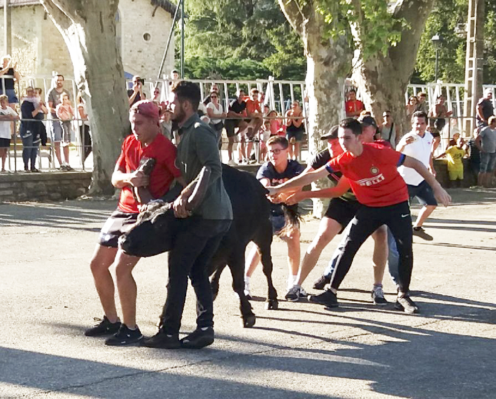 Tresques : immersion dans les traditions : deux jours de fête les 13 et 14 juillet