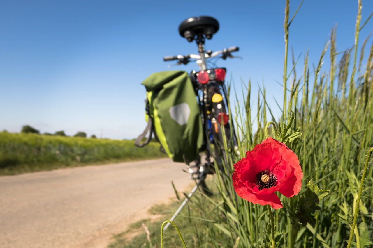 Cet été, la Région et SNCF expérimentent la réservation vélo pour voyager en toute sérénité à bord des trains régionaux liO