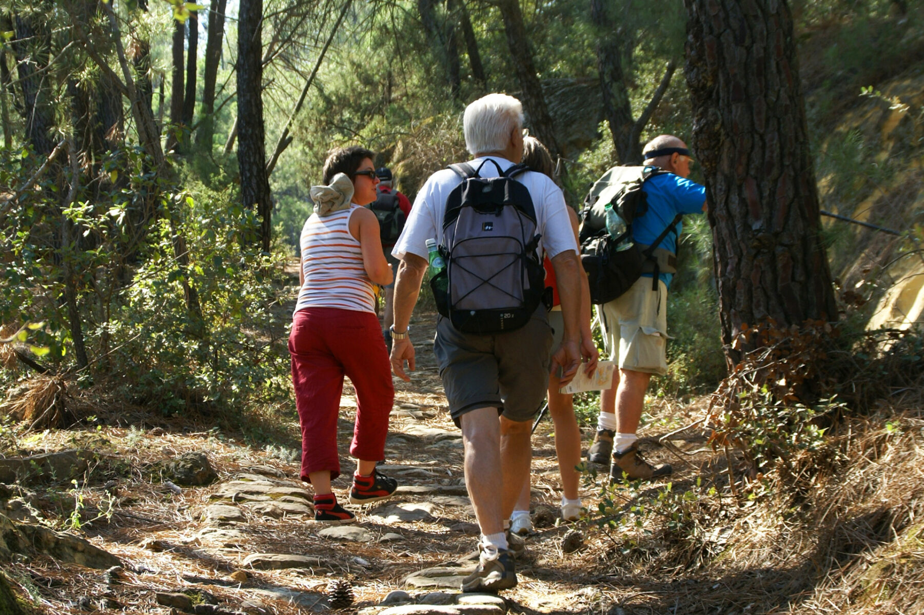 Randonnées pédestres en Provence Occitane