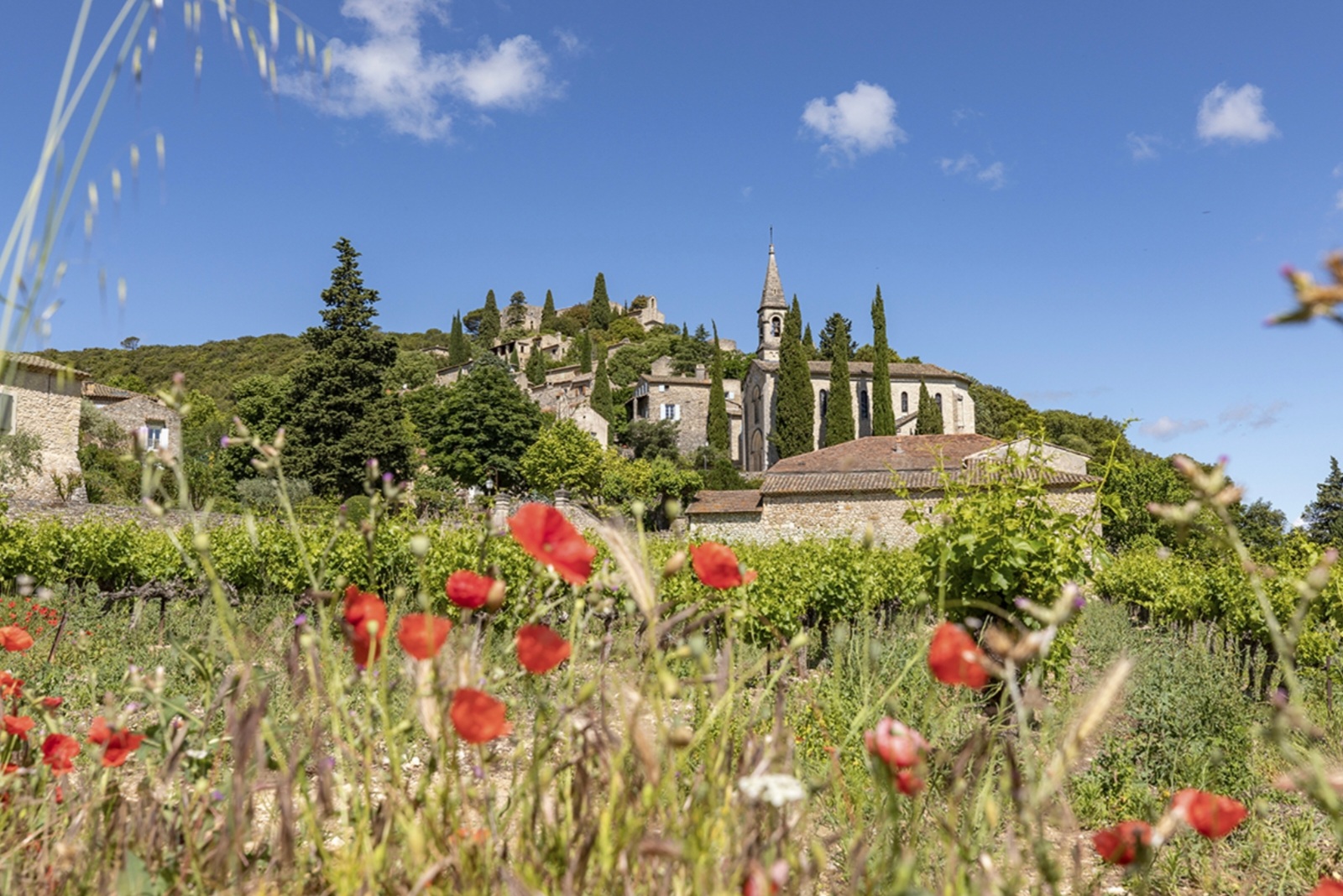 Zoom sur La-Roque-sur-Cèze, plus Beau Village de France