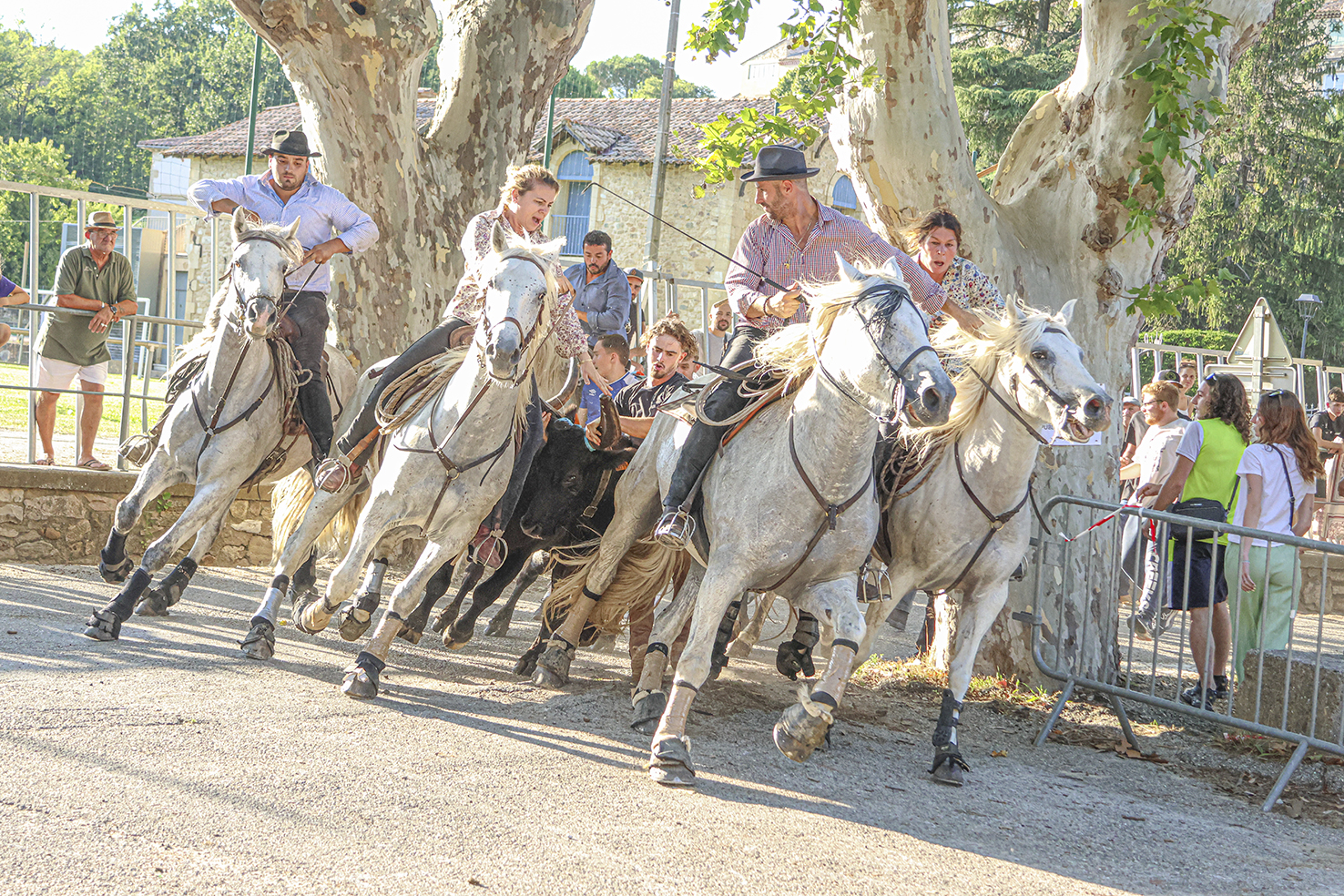 Tresques : week-end festif les 30 et 31 août, la Feria des Vendanges vous attend !