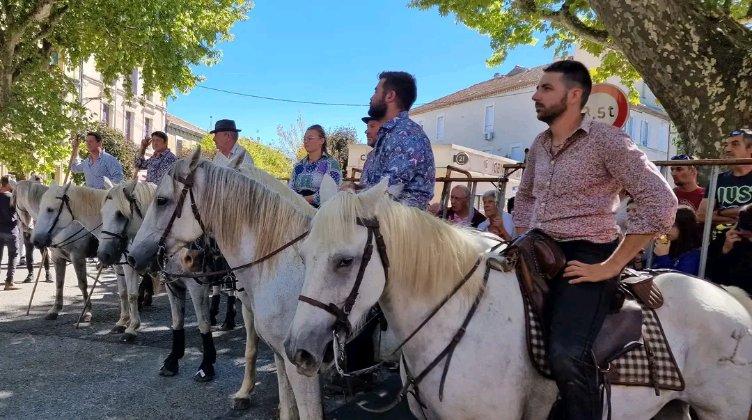 Bagnols-sur-Ceze : les manifestations taurines annulées pour raisons de sécurité