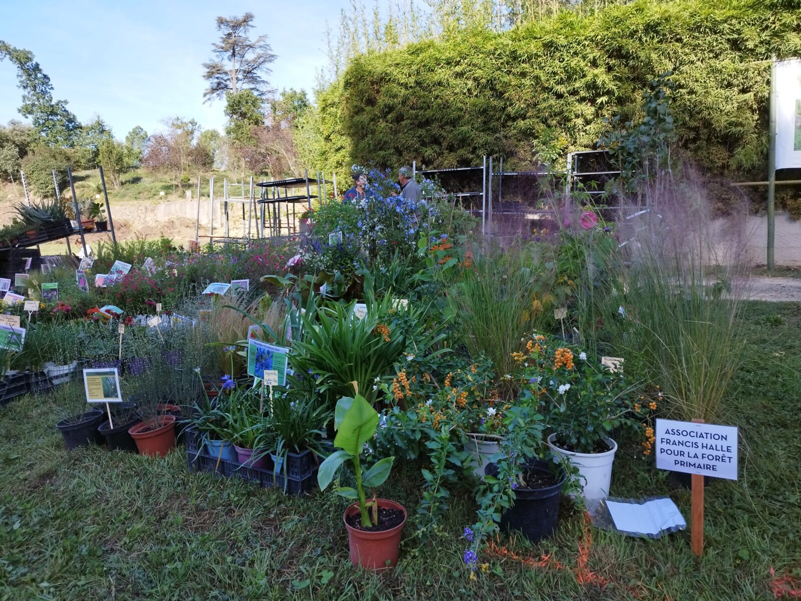 Anduze : la Journée des Plantes revient le 13 octobre à La Bambouseraie en Cévennes