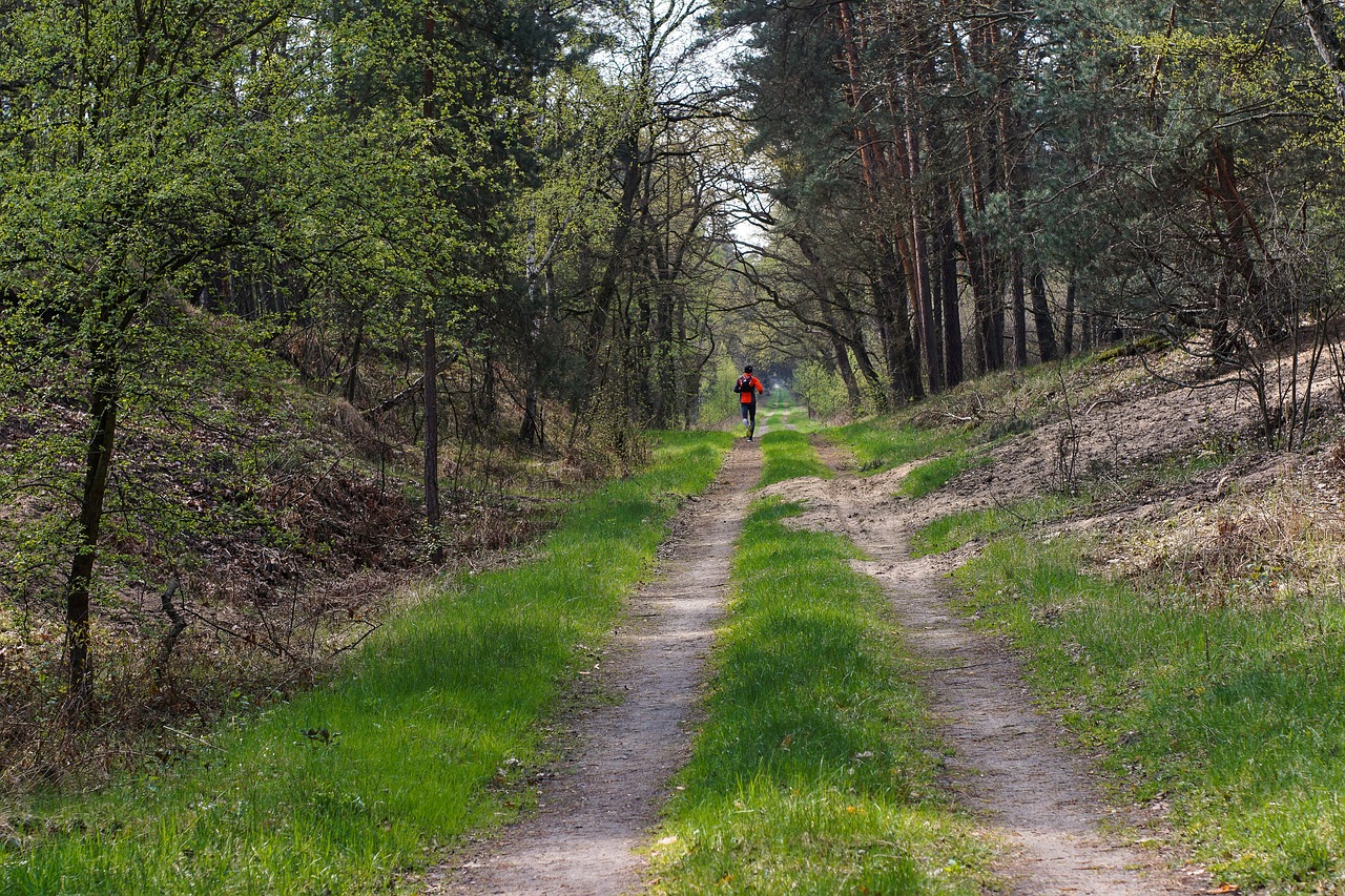 Première édition du Trail de Belle-Feuille : un rendez-vous sportif à ne pas manquer