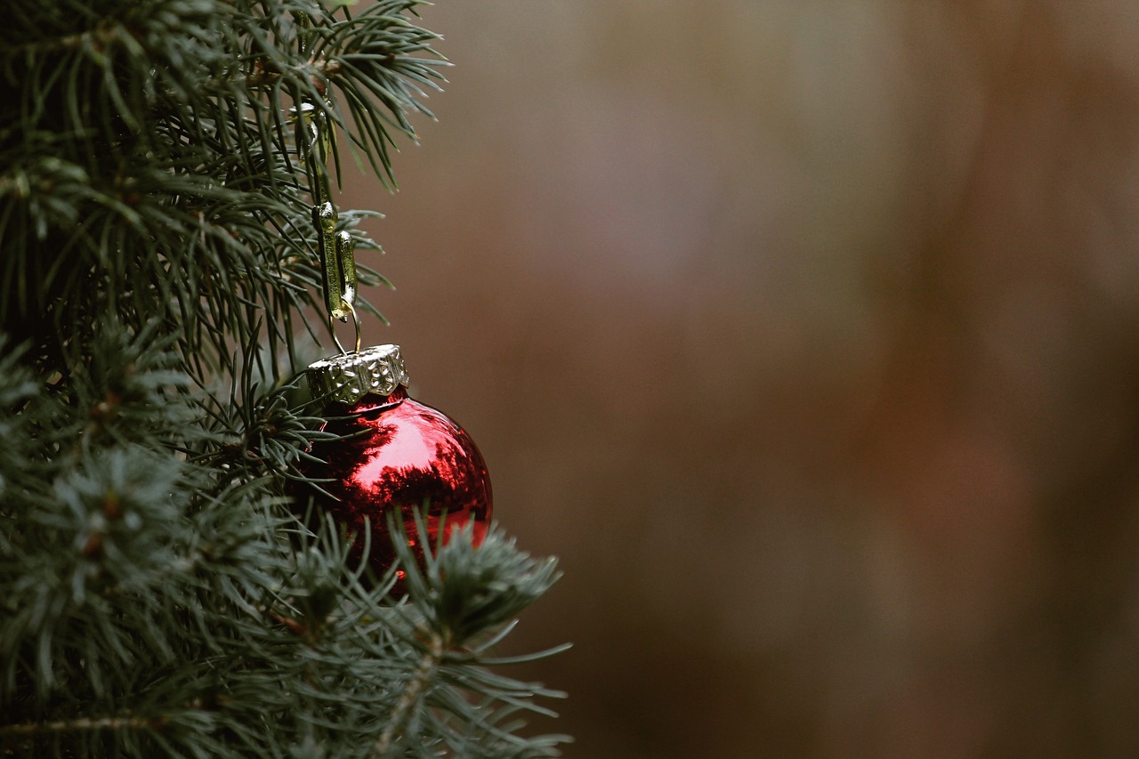 Saint-Victor-la-Coste : l’association des parents d’élèves organise une vente de sapins de Noël