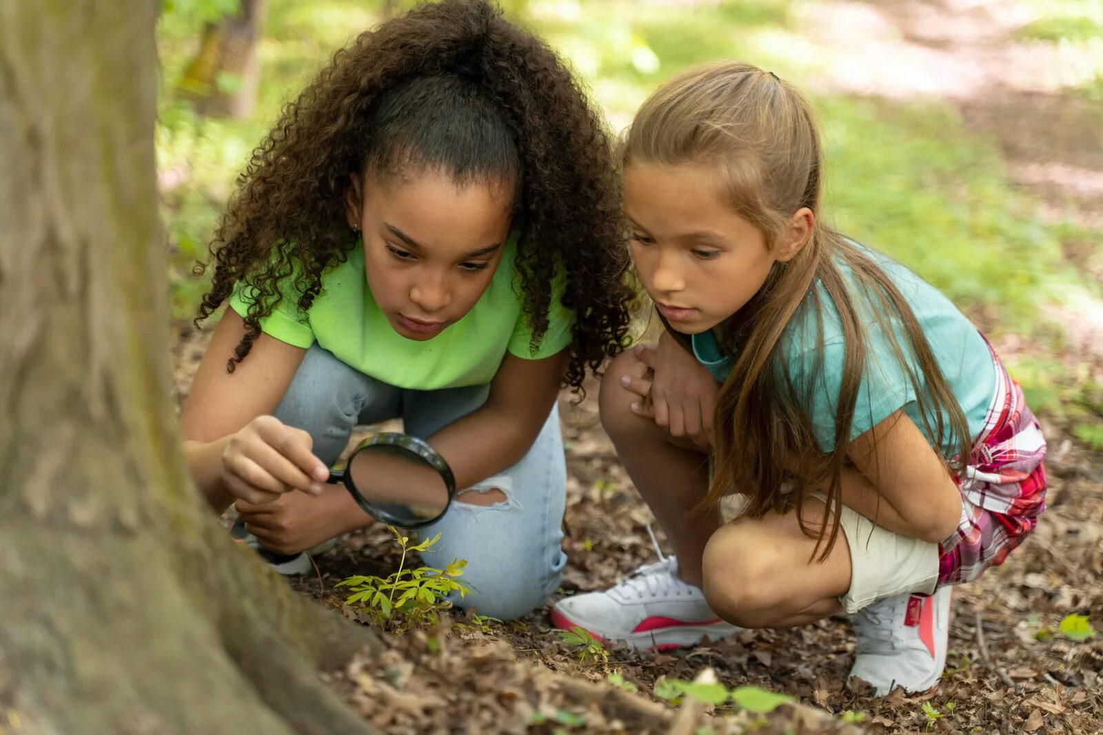 Roquemaure: « À la recherche des Demoiselles disparues » : un jeu de piste nature pour petits détectives