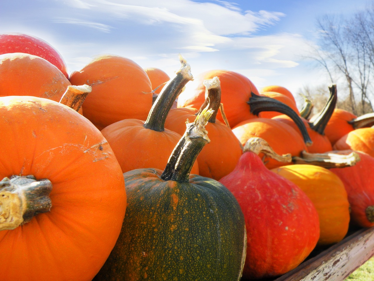 Bagnols-sur-Cèze : fête de la courge, animations sorcières et grande soirée magique avec Mentizard au programme « d’Halloween sur Cèze » mercredi et jeudi !