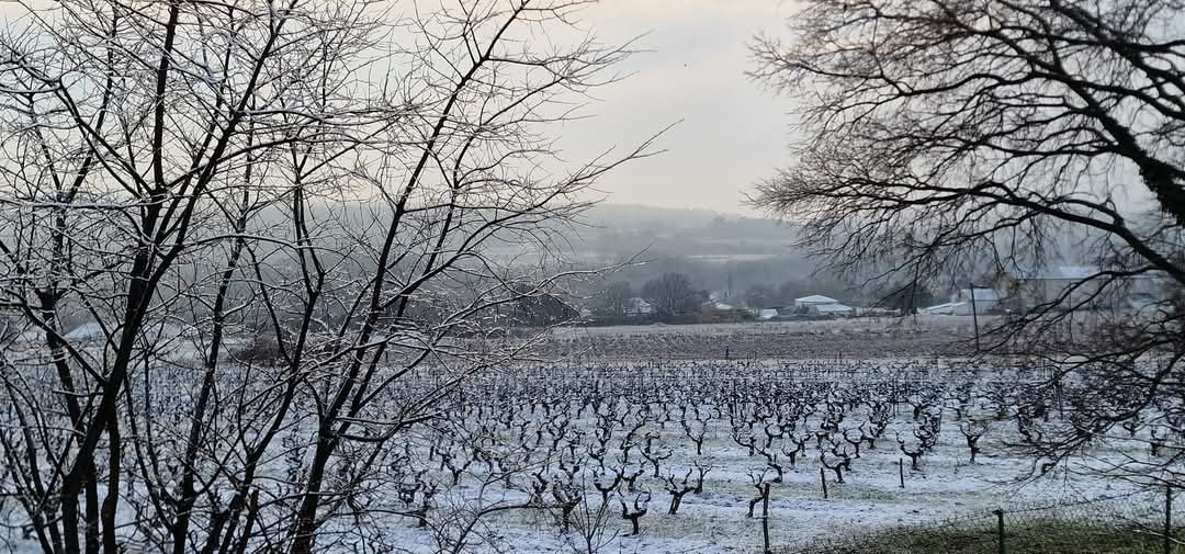 Un solstice d’hiver sous le soleil : vers un hiver clément dans le Gard rhodanien ?