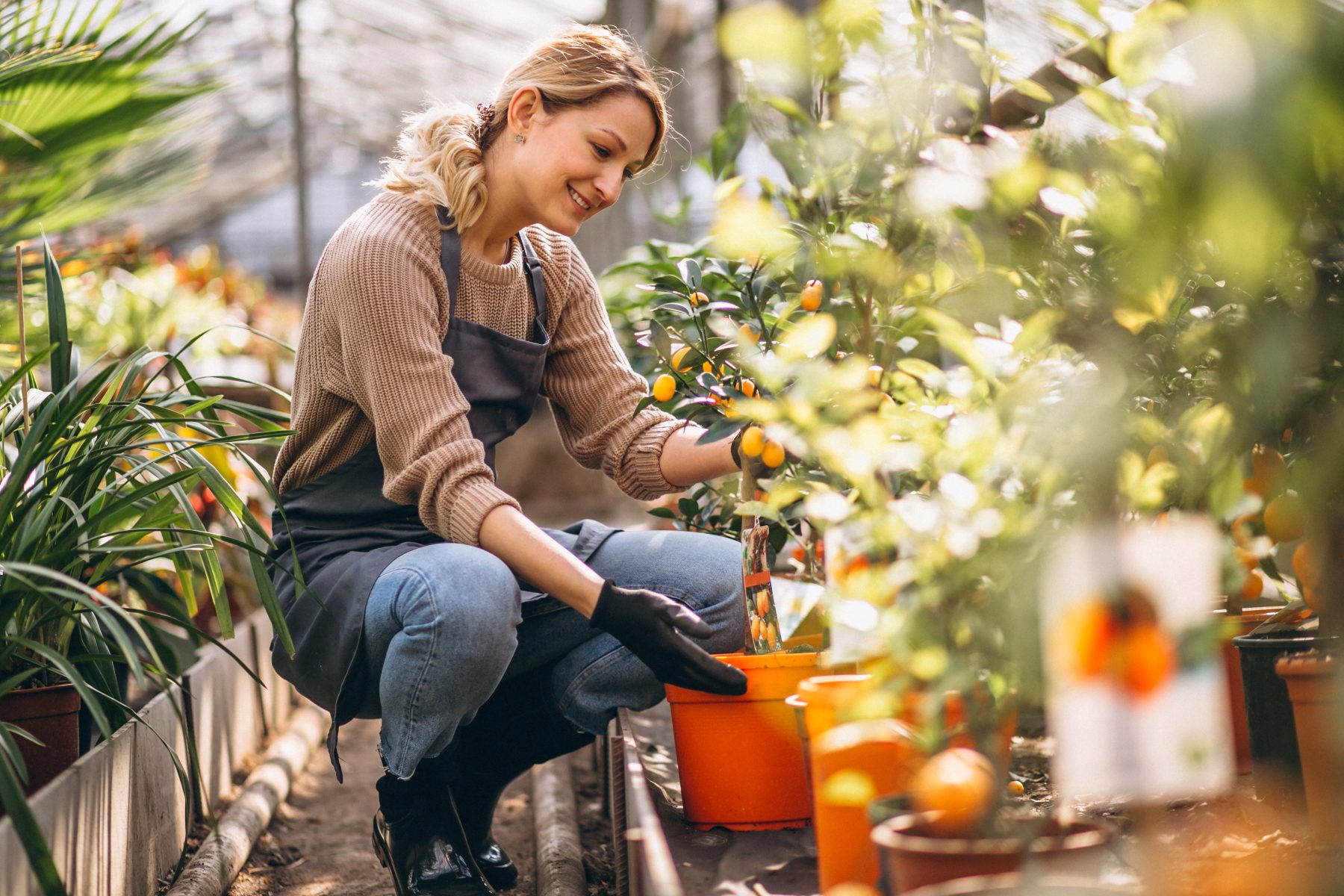Villeneuve-lez-Avignon : un atelier pour semer et bouturer au Jardin de la Seigneurette