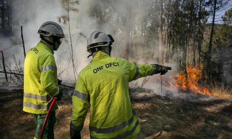 Pompiers devant un feu de forêt