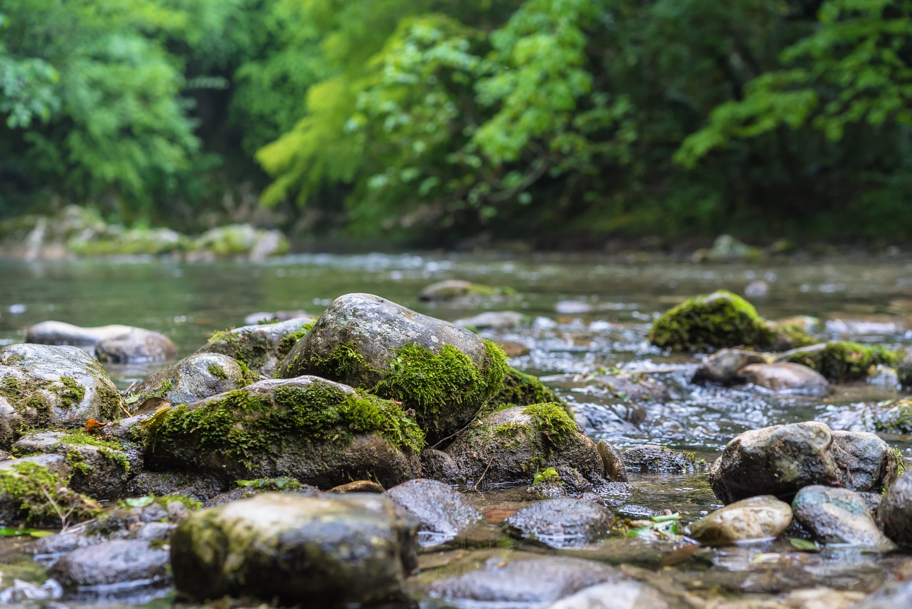 Sécheresse : les restrictions d’usage de l’eau renforcées dans le Gard