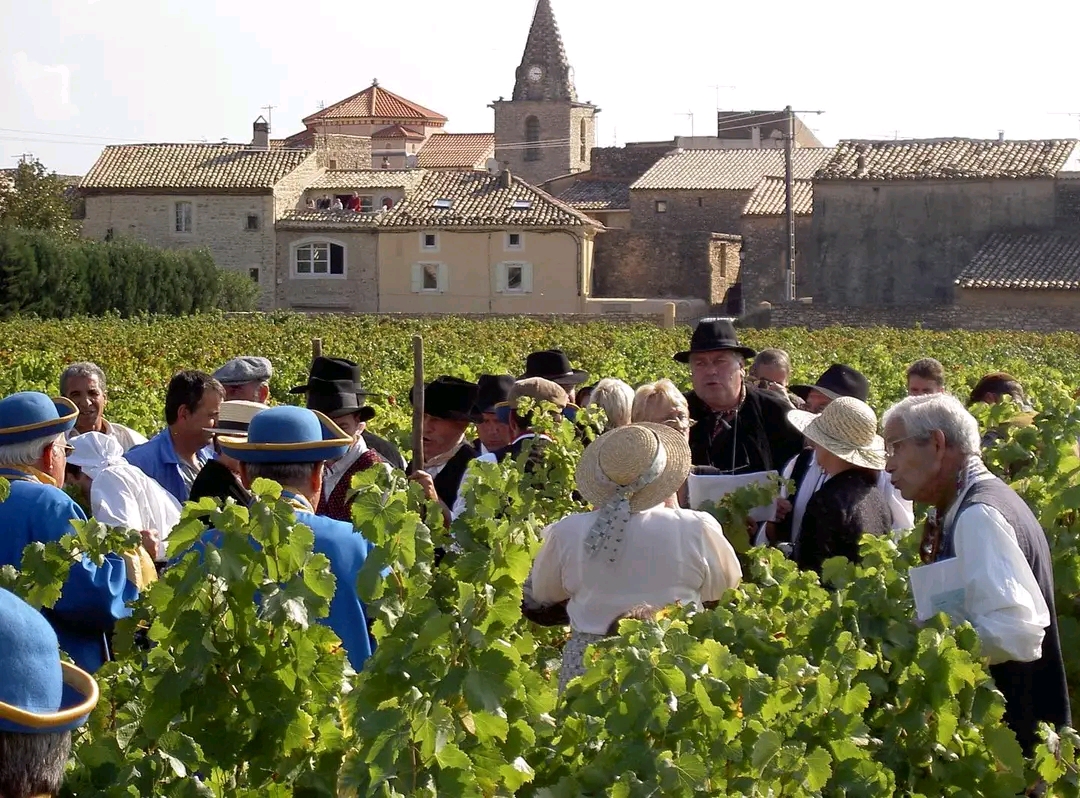 Chusclan : un week-end à savourer avec Maison Sinnae aux Vendanges de l’Histoire