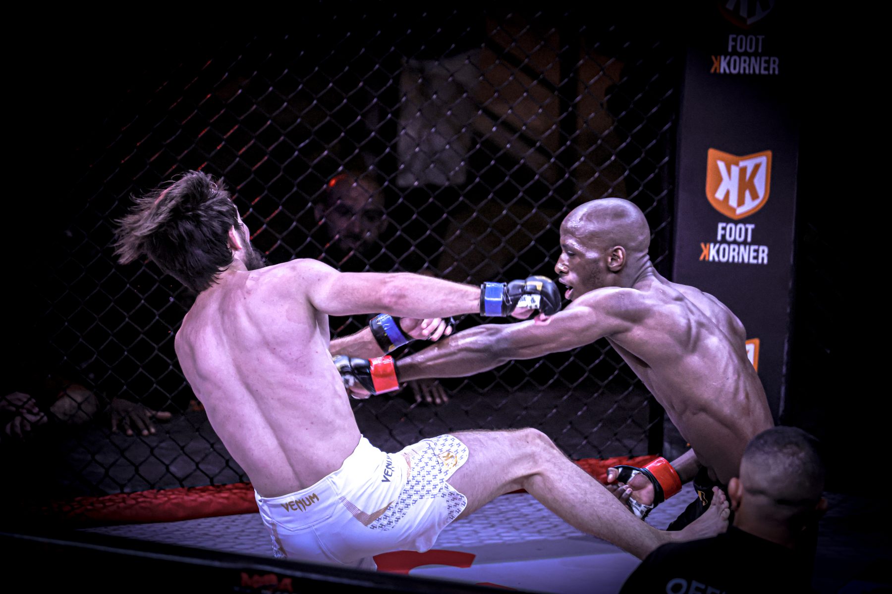 Après Orange, Hexagone MMA débarque à Avignon : une première très attendue le 15 novembre