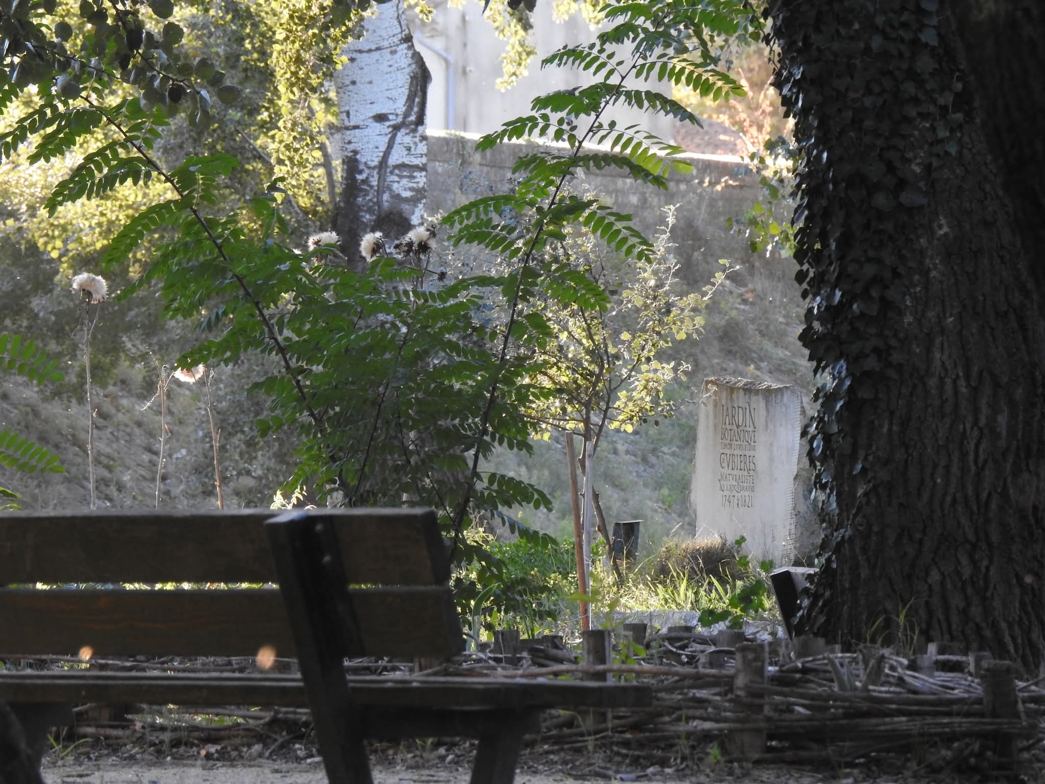 Roquemaure : une première Gratiferia dédiée au jardin et au végétal organisée par l&rsquo;association CULTUR’AIR ce dimanche 9 novembre