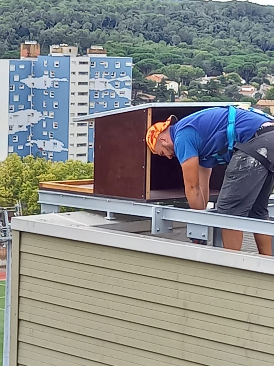 Un nichoir pour faucons pèlerins installé aux Escanaux : une solution naturelle contre les pigeons et étourneaux