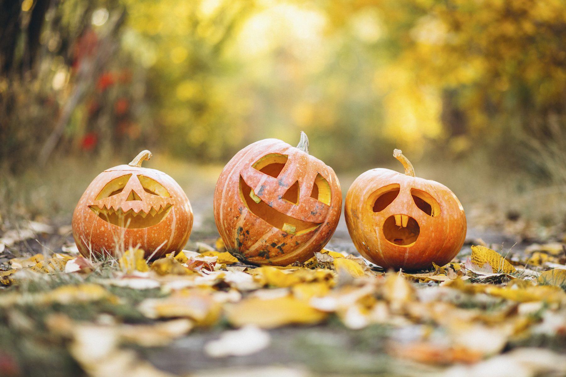Aiguèze : la Fête de la Courge revient ce dimanche 26 octobre avec un programme haut en couleurs