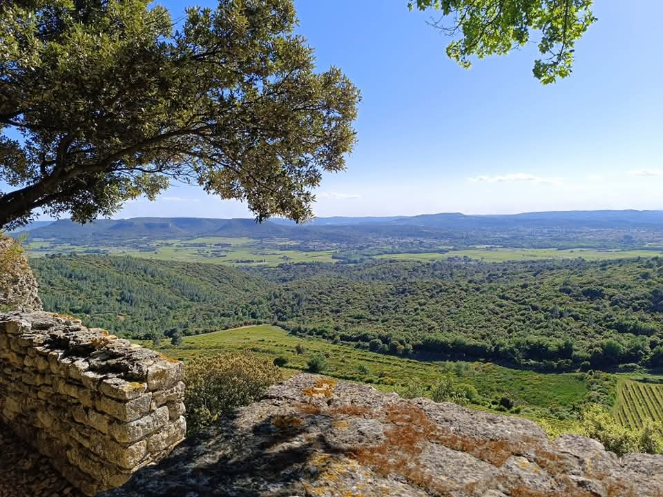 Chusclan accueille sa 37e édition de la Randonnée des Côtes du Rhône Primeurs : sport, nature et convivialité :