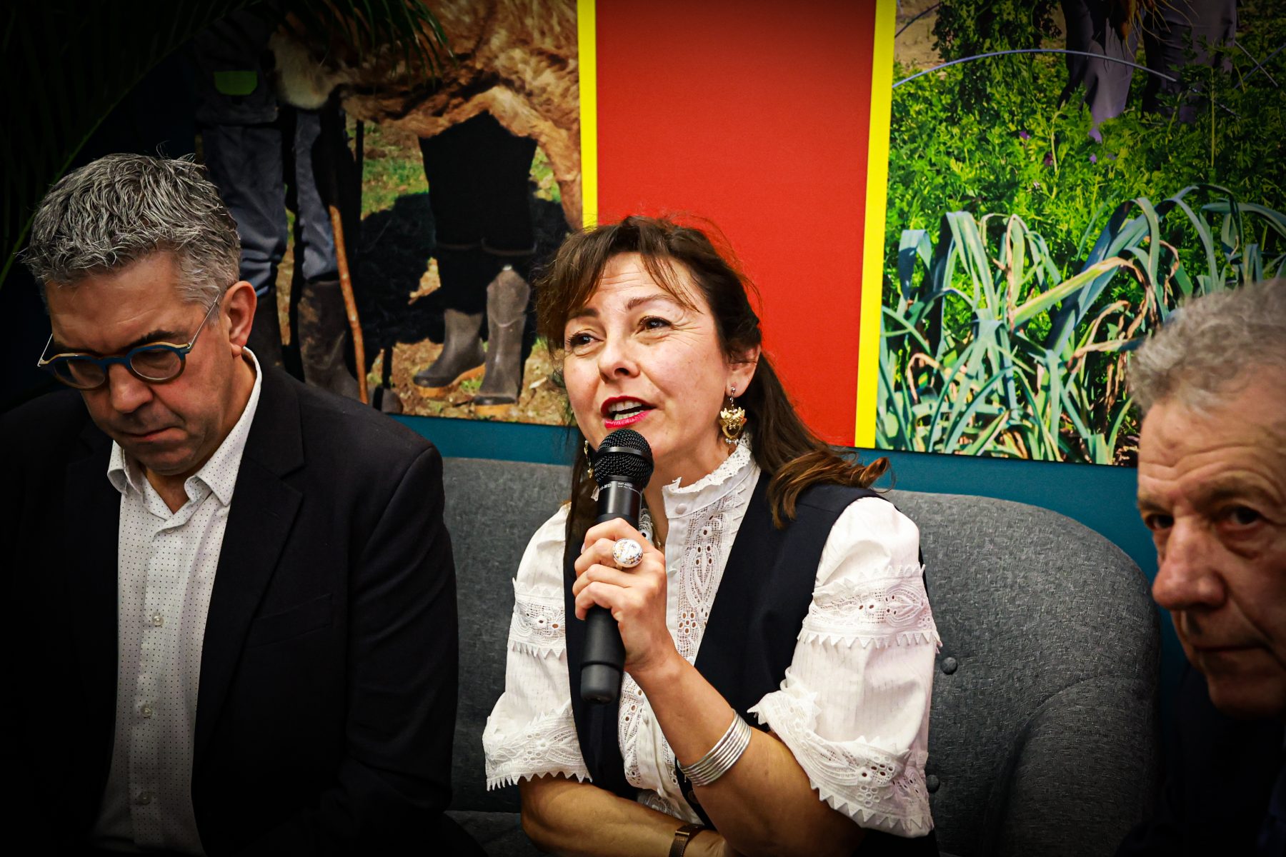 Dermatose nodulaire : Carole Delga interpelle Sébastien Lecornu et appelle à un dialogue d’urgence avec les agriculteurs
