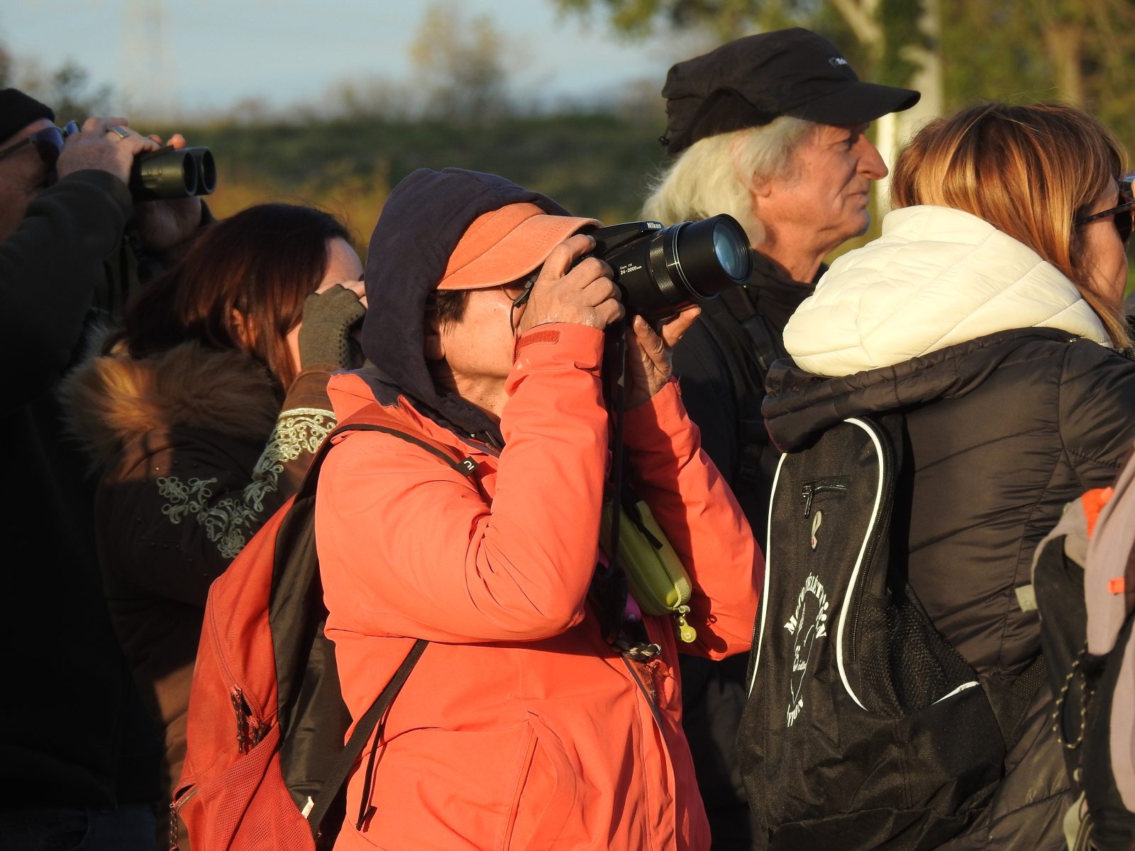 Roquemaure : l&rsquo;association CULTUR’AIR organise une soirée cinéma pour renouer avec la nature