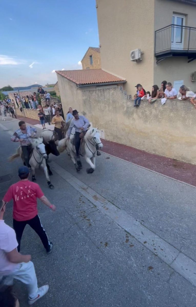 Codolet : ce vendredi 8 mai, le cœur du village va battre au rythme de la Camargue !