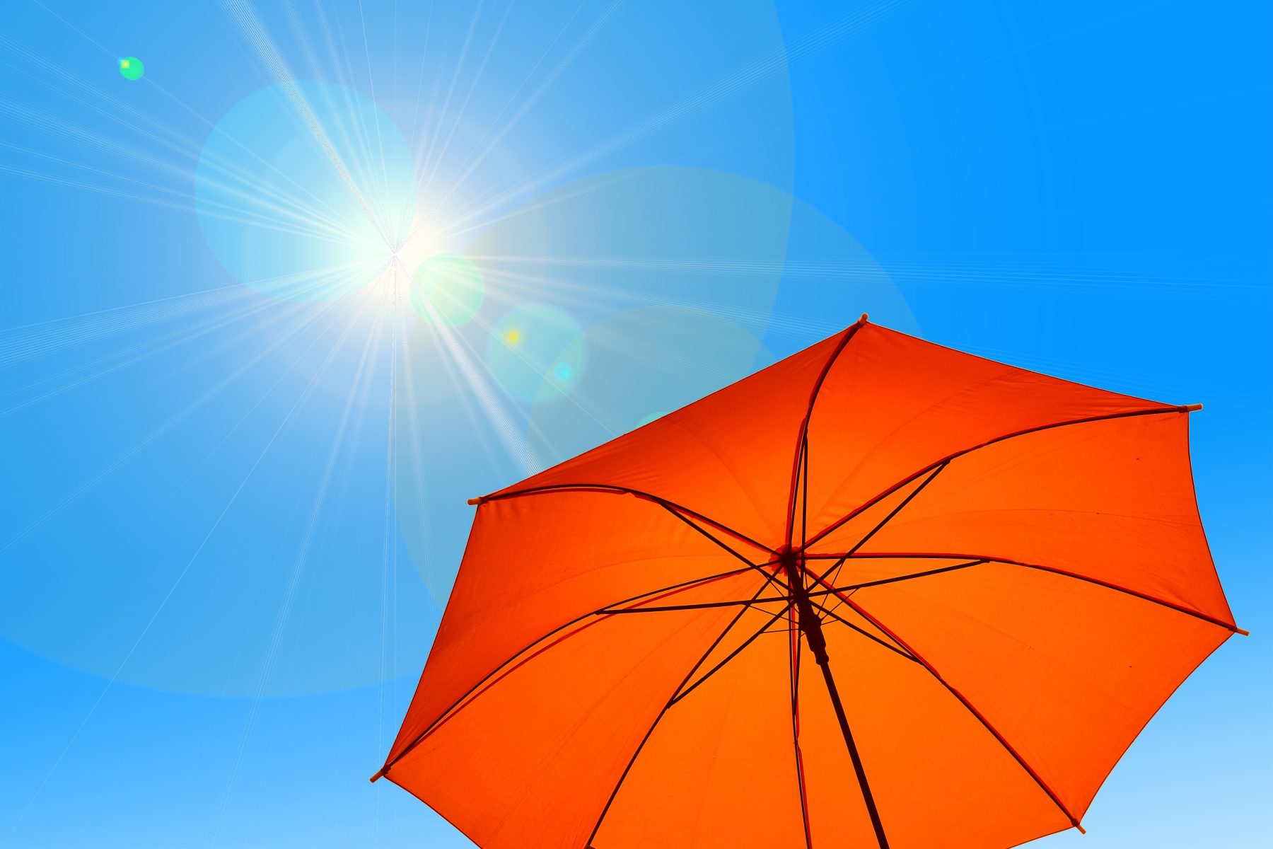 Grand soleil et mistral pour finir le week-end dans le Gard rhodanien