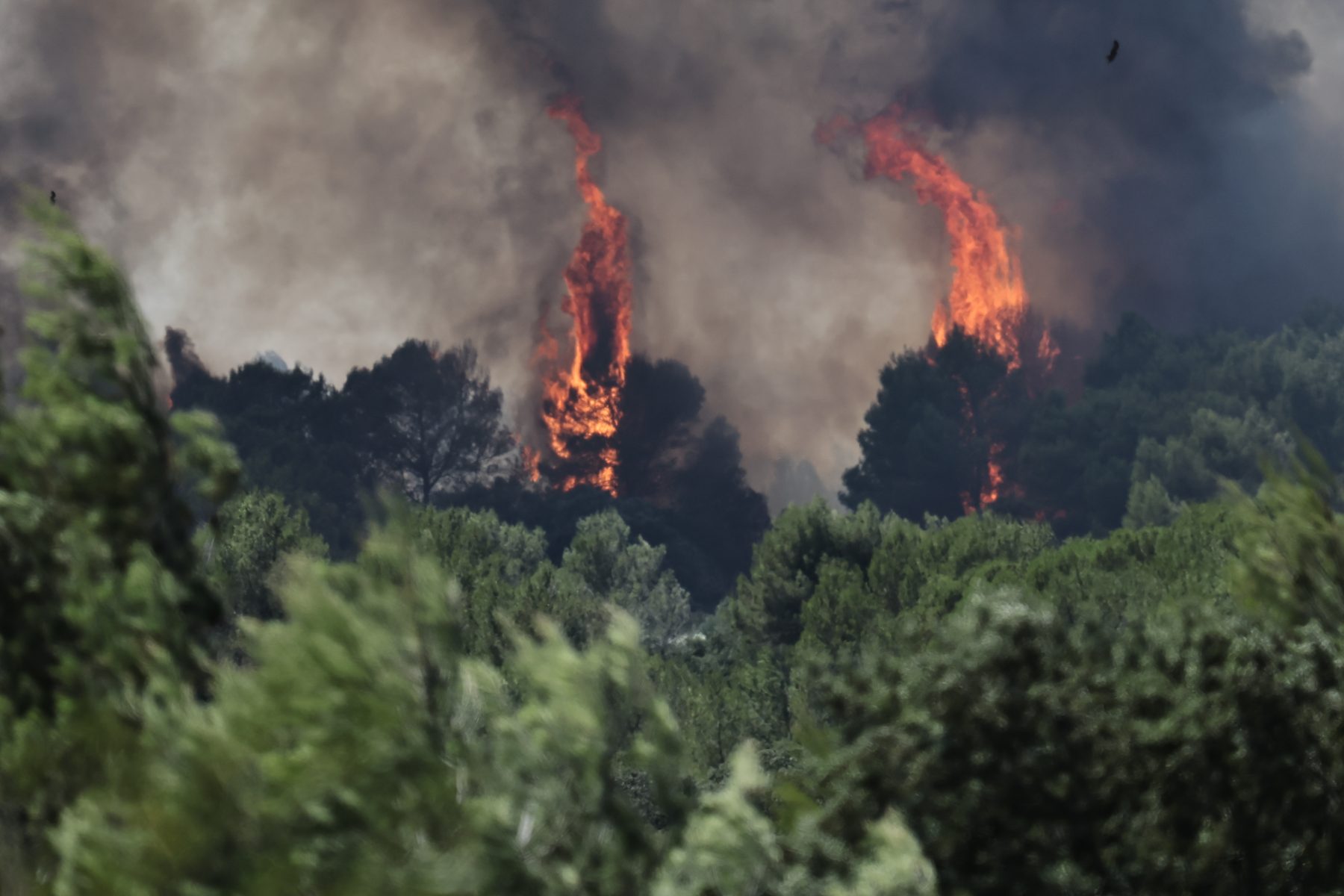 Gard rhodanien : risque très sévère d’incendie, les massifs forestiers interdits d’accès lundi
