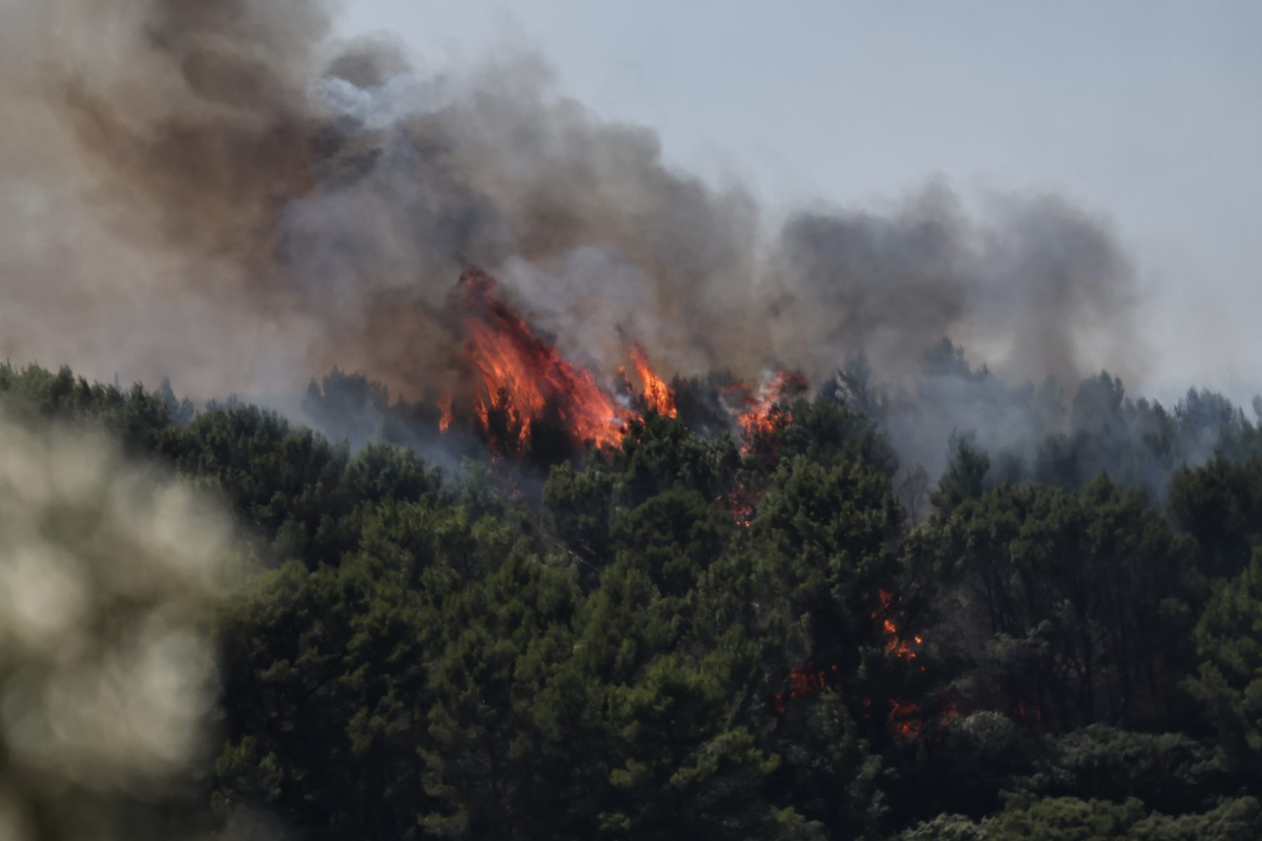 Incendies dans le Gard : la procureure de Nîmes fait le point sur les enquêtes ouvertes