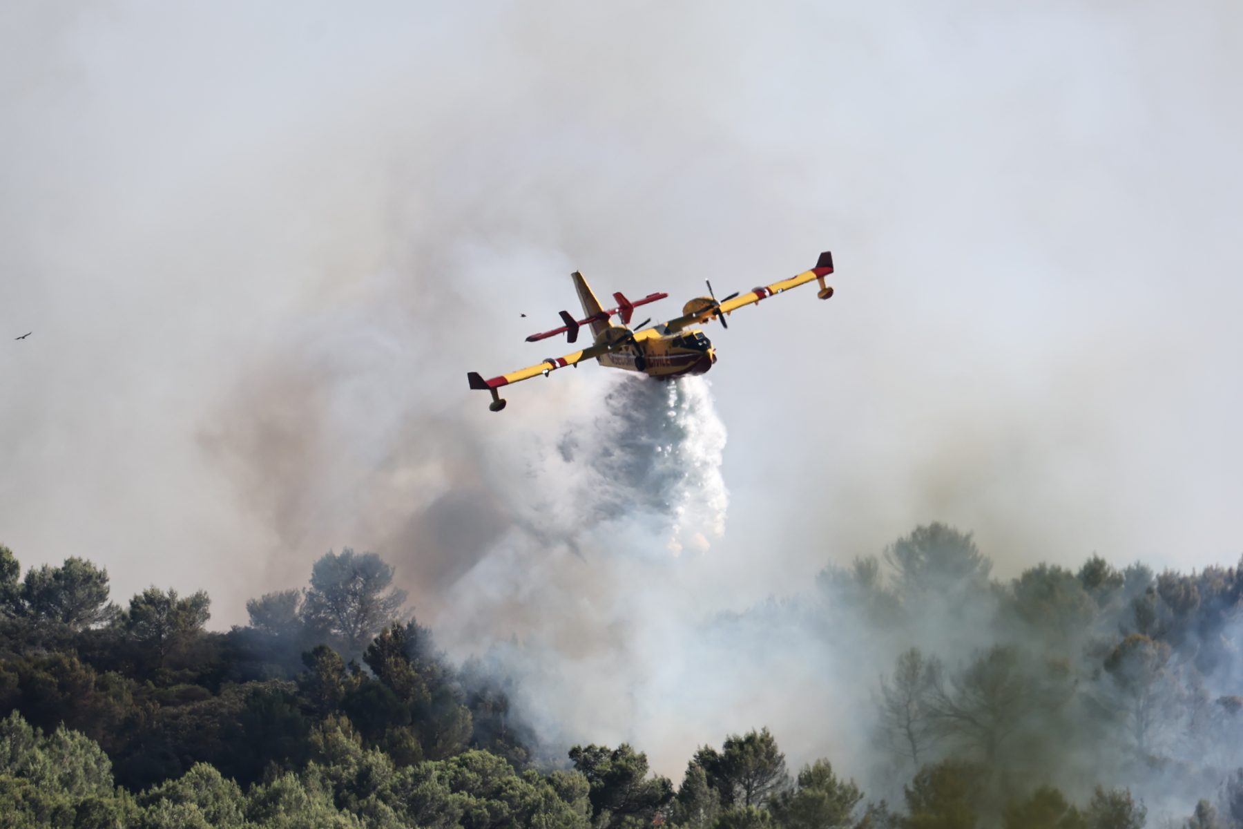 Incendie de Lédenon : 540 hectares parcourus, 130 largages et une lutte toujours intense à 18h