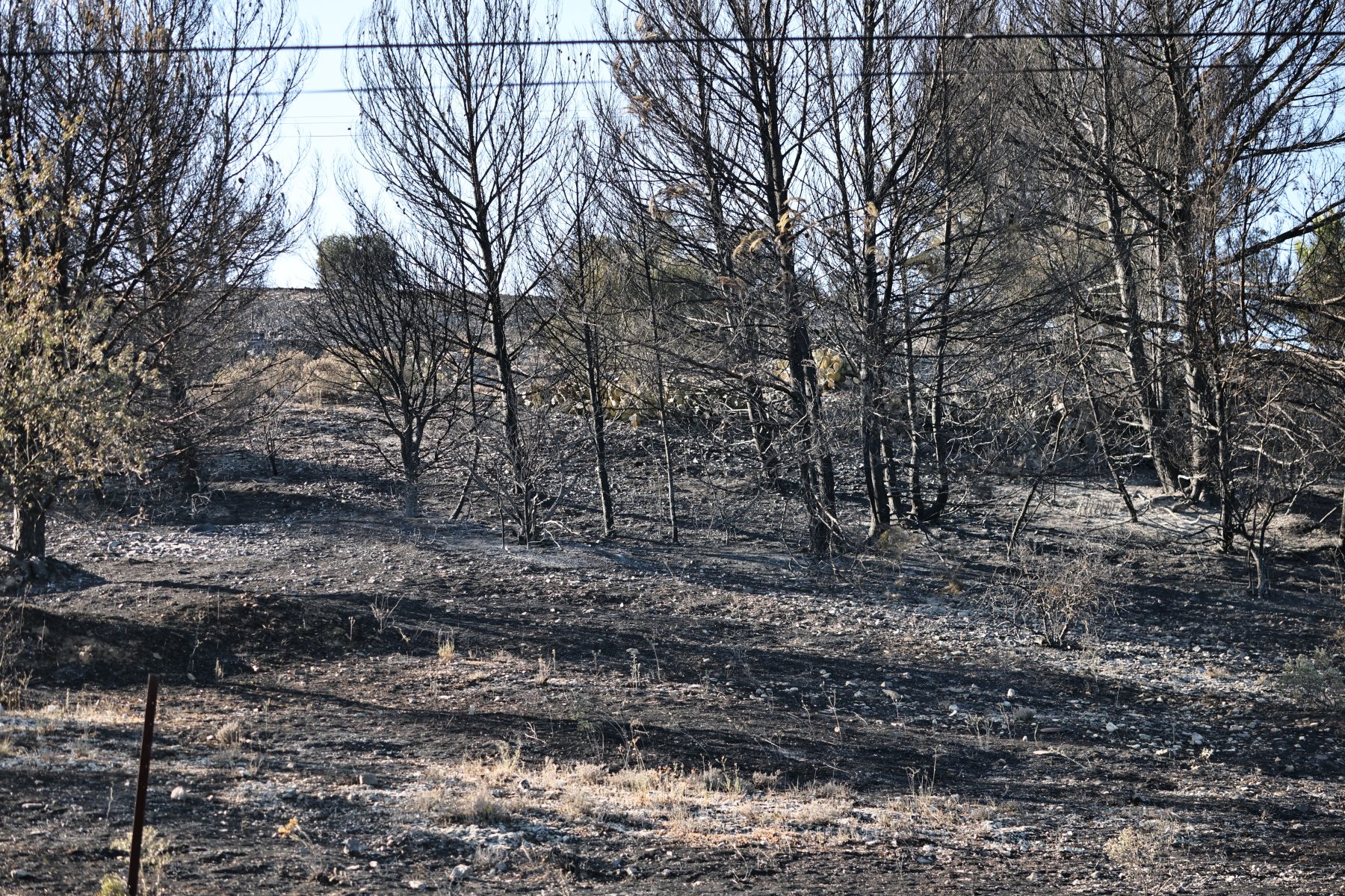 Le Gard en feu et en cendres