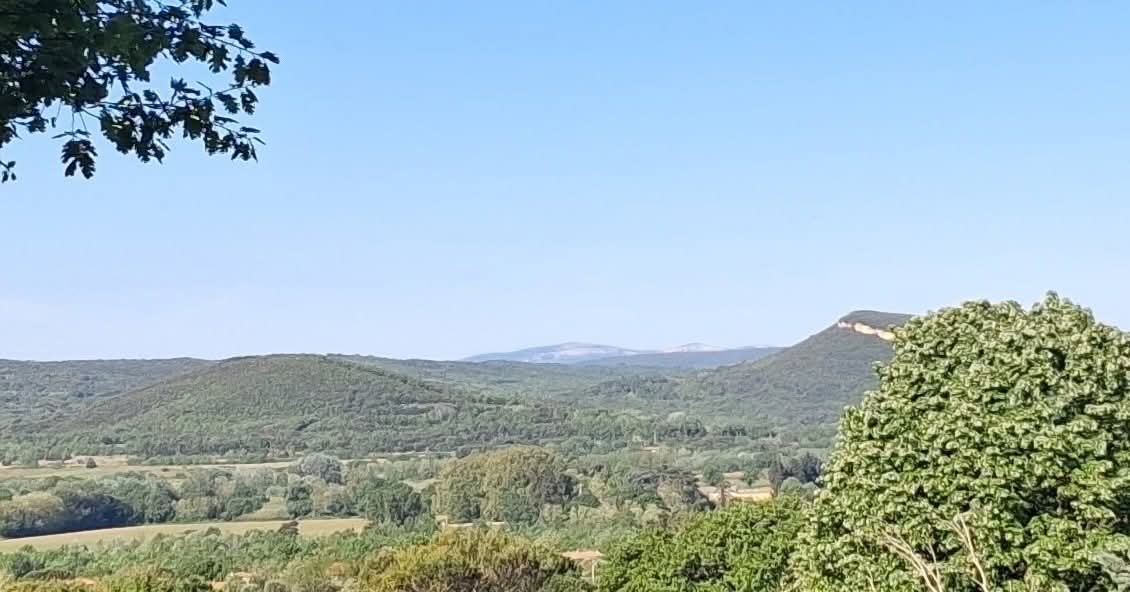 Gard rhodanien : les habitants invités à recenser les arbres remarquables du territoire