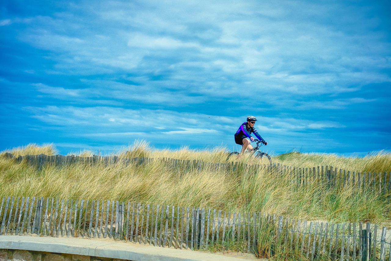 En Occitanie, la location de vélos confirme de nouvelles façons de découvrir le territoire