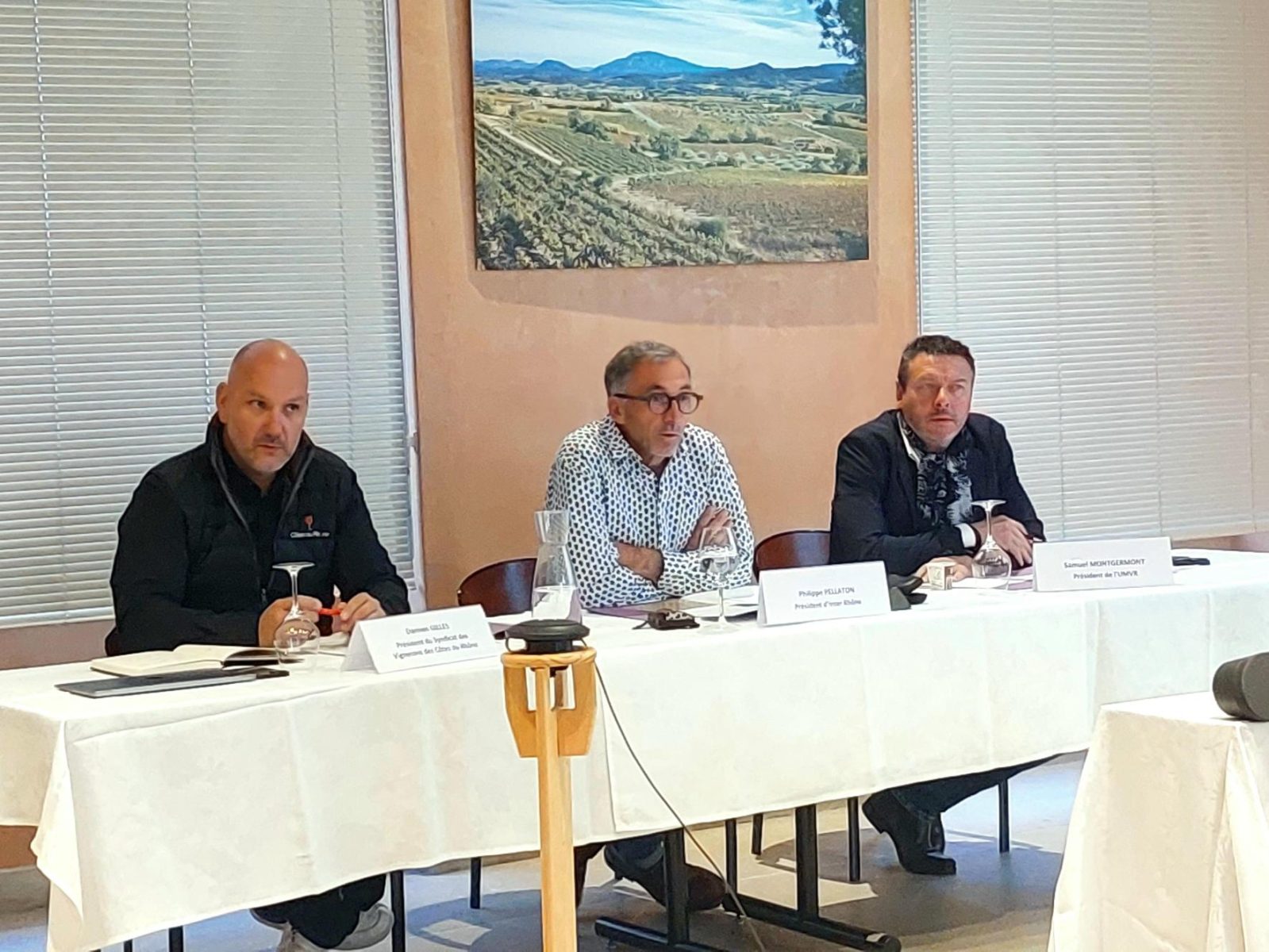 Côtes du Rhône : de nouveaux indicateurs pour éclairer le marché et préserver la valeur des vins