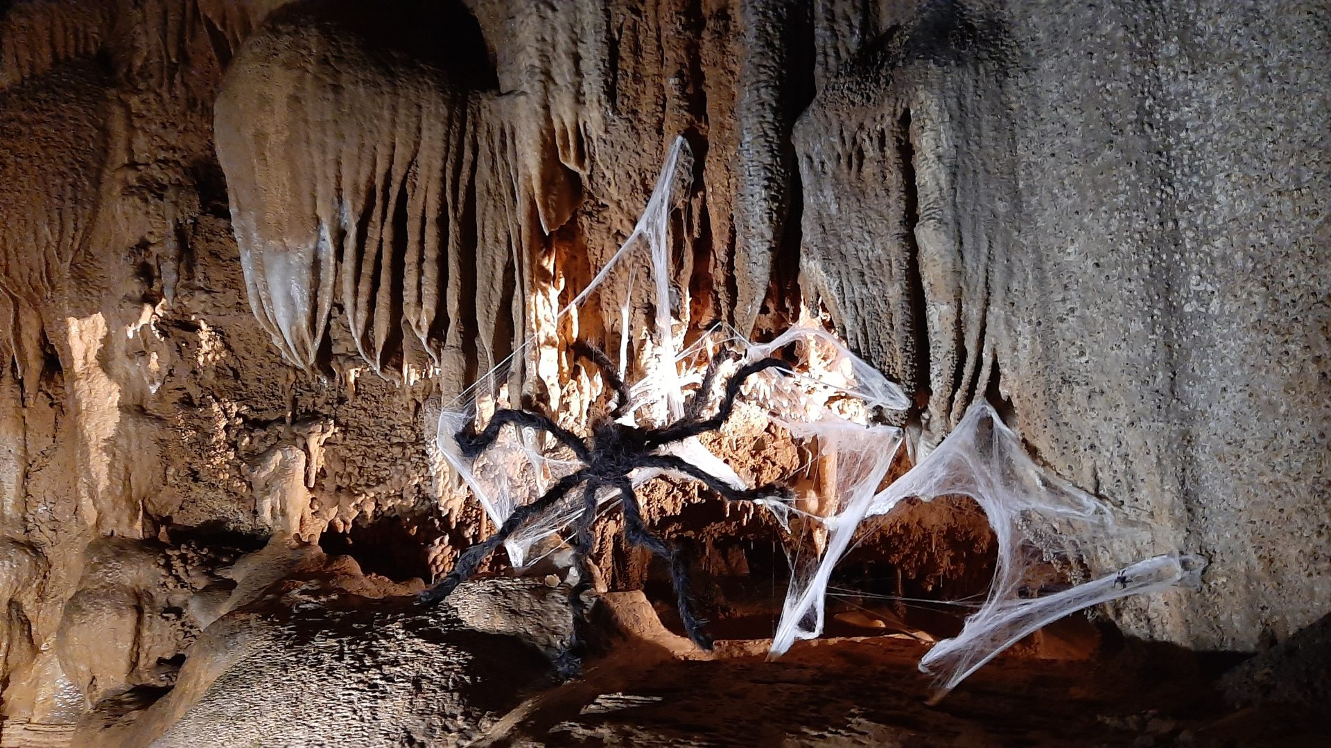 Halloween s’installe à la Grotte de Trabuc : des frissons sous terre pendant les vacances de la Toussaint